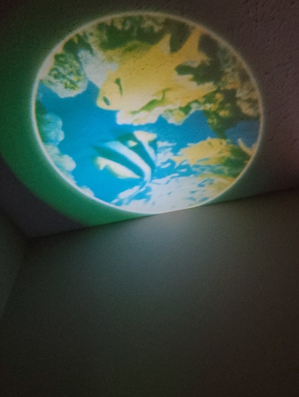 Projectable Tropical Fish  LED Night Light Plug-In - Picture 2 of 4